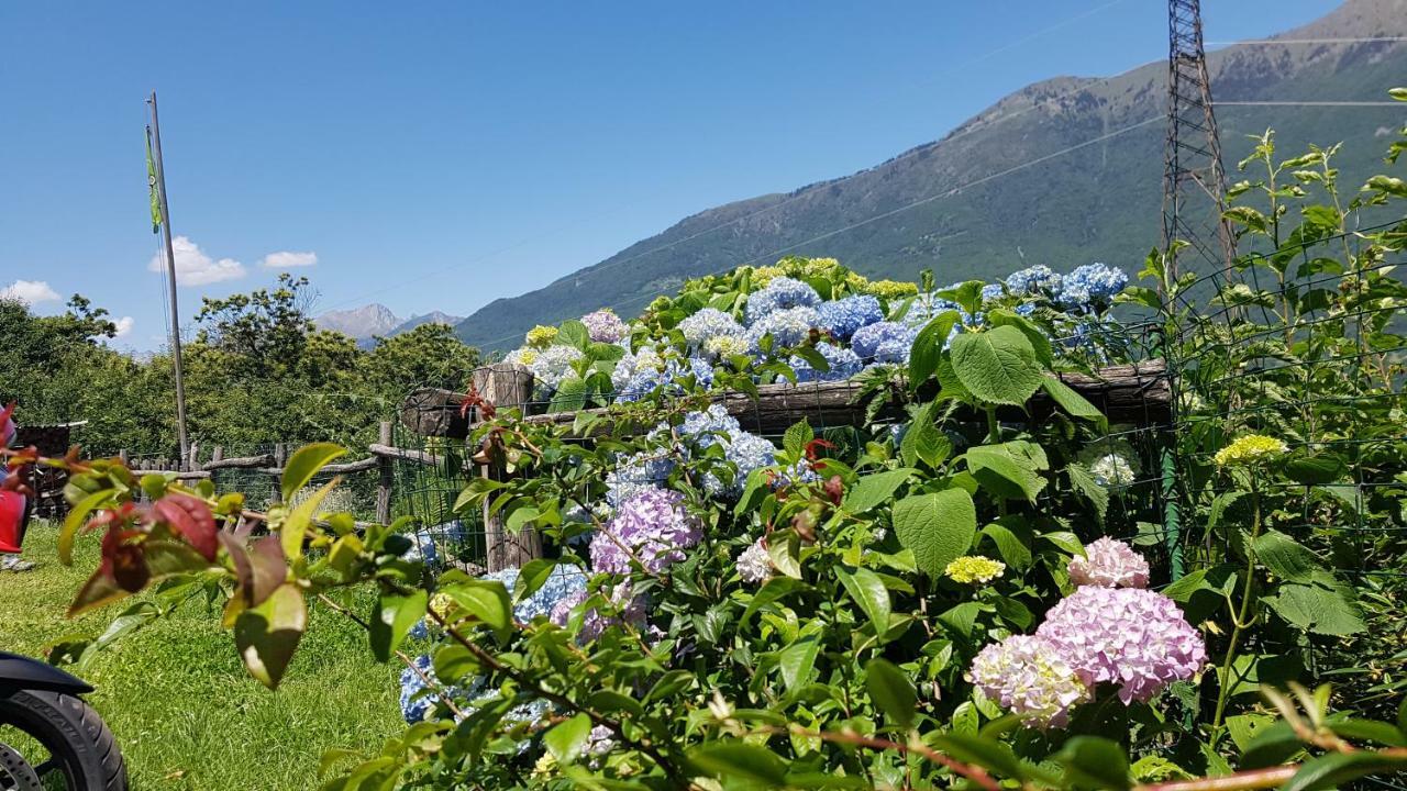 Agriturismo Volpe Golosa モルベーニョ エクステリア 写真